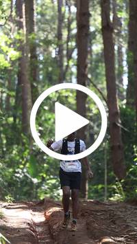 BIB:  <button type="button" onclick="openModal(26569562)" class="btn btn-primary btn-sm float-right" data-toggle="modal" data-target=".modal-high-quality">
                <i class="fa fa-download"></i> Download
                </button>